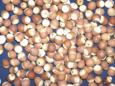 解春困最给力的四种食物 解春困最给力的四种食物