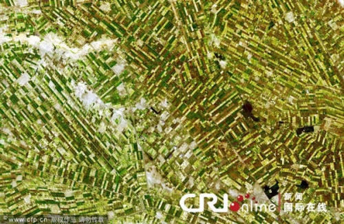 组图：从太空看地球“麦田怪圈” 美丽震撼如油画