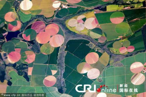 组图：从太空看地球“麦田怪圈” 美丽震撼如油画