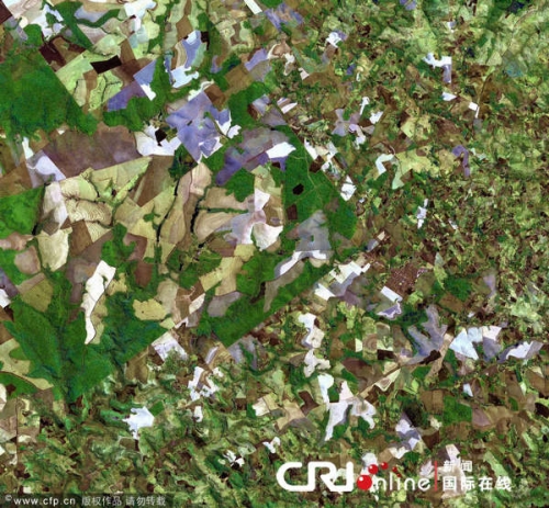 组图：从太空看地球“麦田怪圈” 美丽震撼如油画