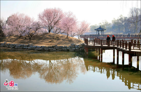 圆明园踏青节 圆明园踏青节