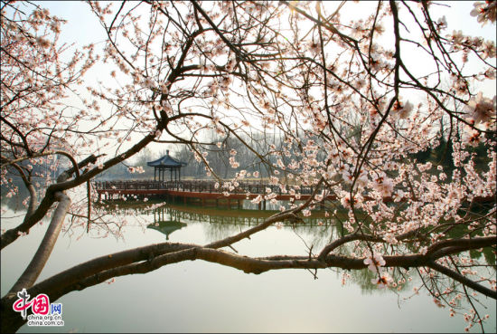 圆明园踏青节 圆明园踏青节
